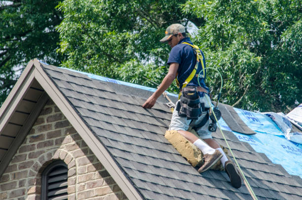 Best Storm Damage Roof Repair  in Pella, IA